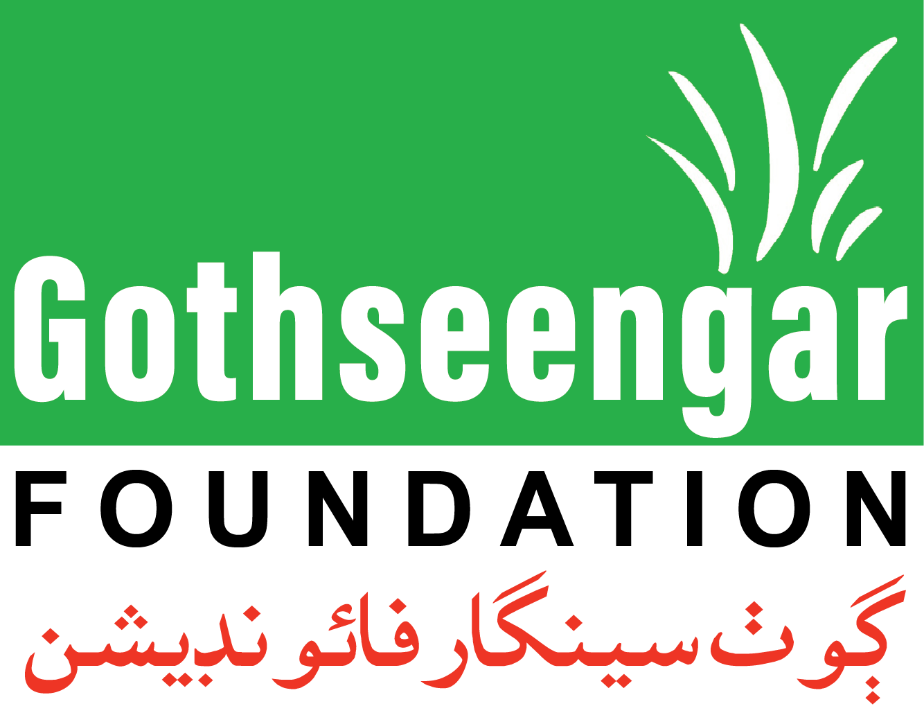 Seengar Careers – Goth Seengar Foundation